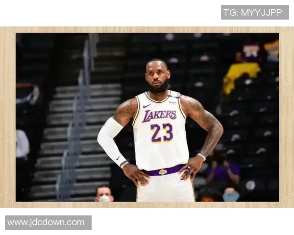 詹姆斯职业生涯数据全解析与成就回顾探讨