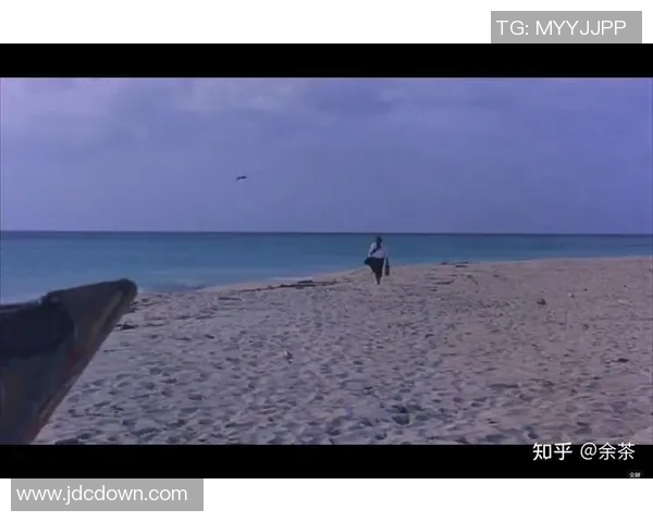 在杀手的天空下追寻真相与救赎的旅程